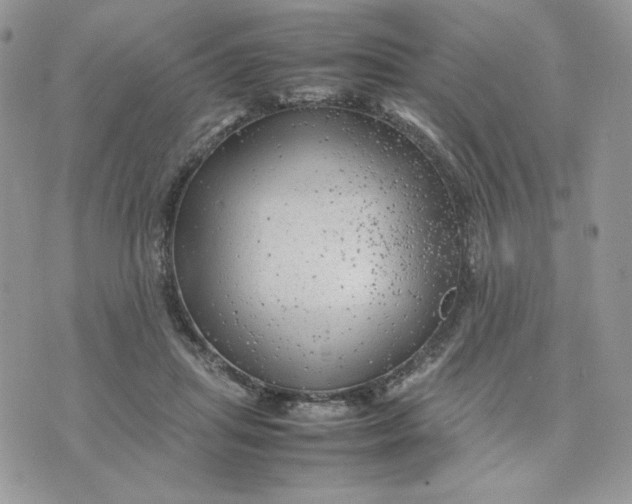 X0000075380455200609291555