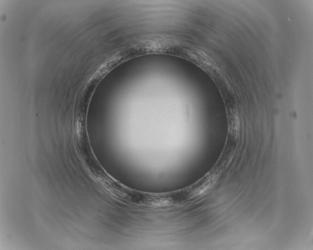 X0000075380456200609291555