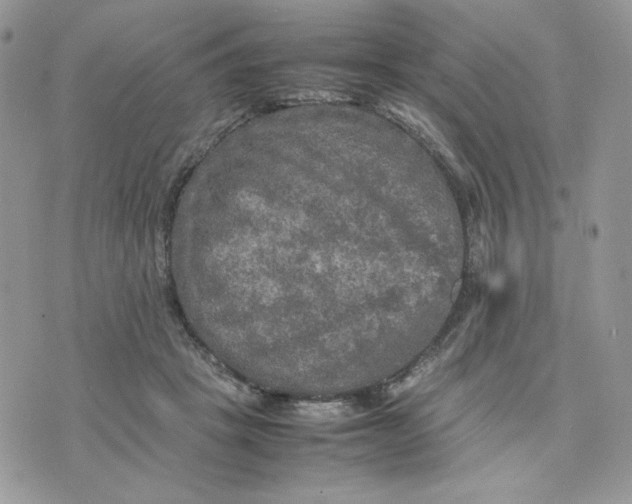 X0000075380457200609291555