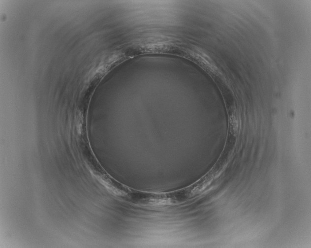 X0000075380458200609291555