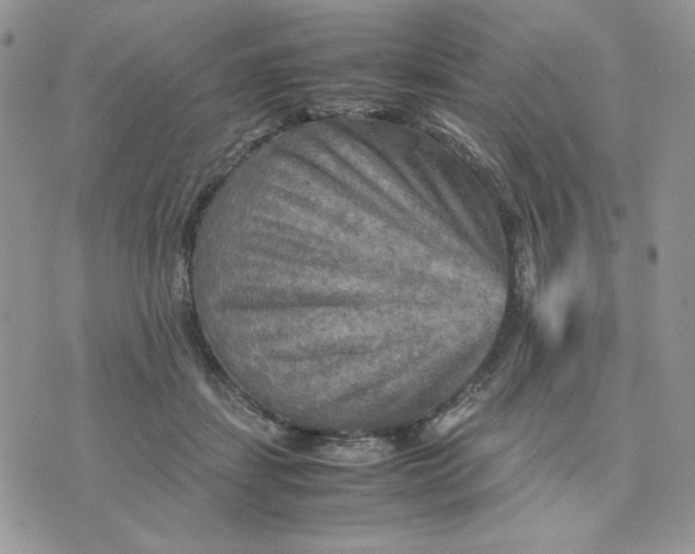 X0000075380459200609291555