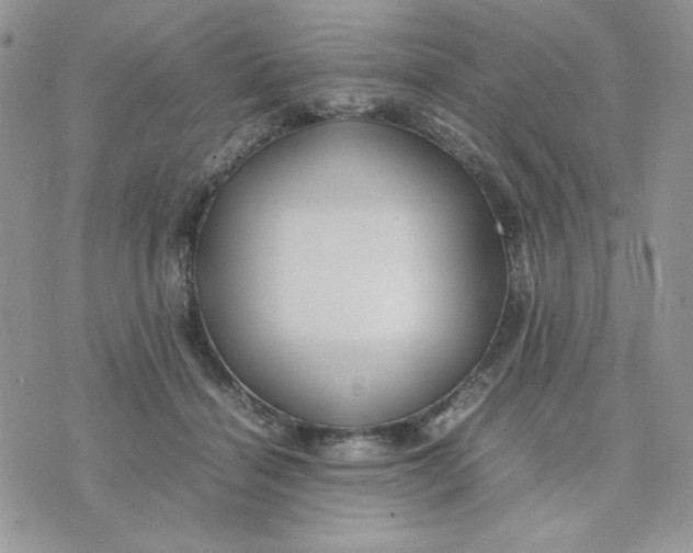 X0000075380460200609291555