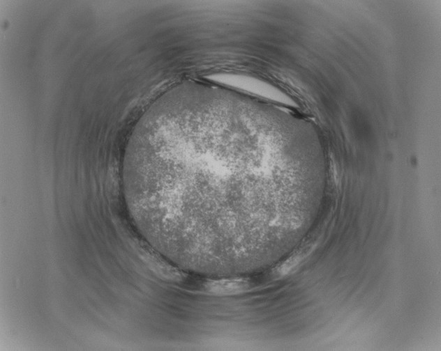 X0000075380461200609291555