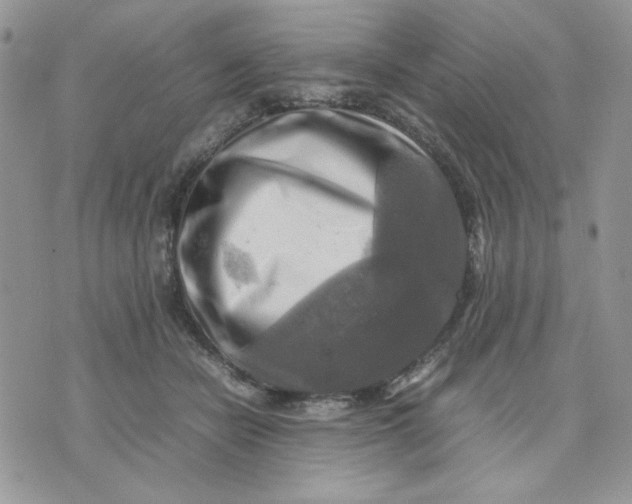 X0000075380462200609291555