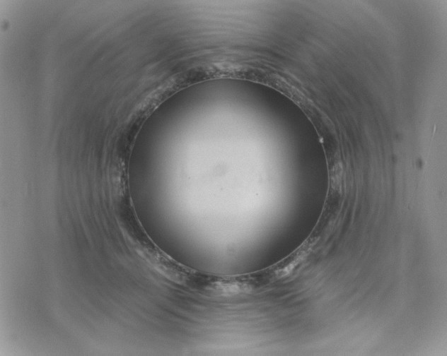 X0000075380464200609291555