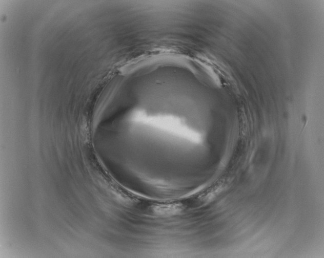 X0000075380465200609291555