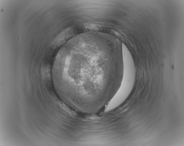 X0000075380466200609291555