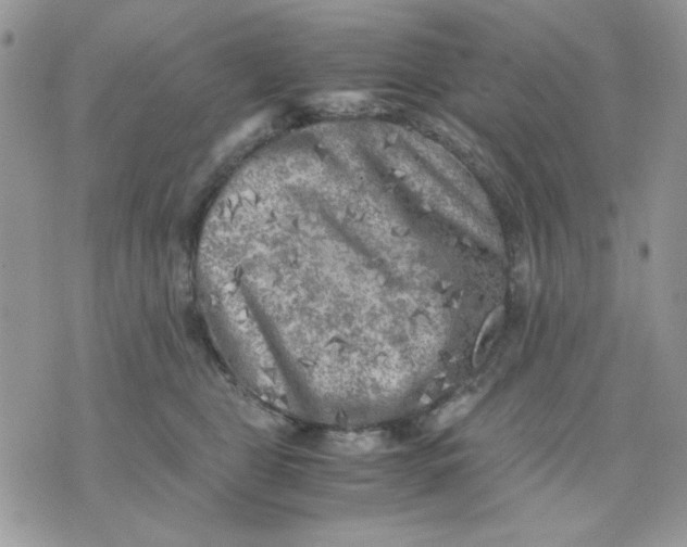 X0000075380469200609291555