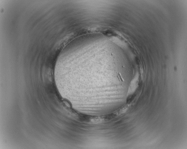 X0000075380470200609291555