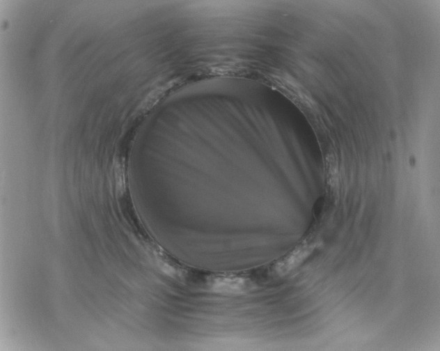 X0000075380471200609291555