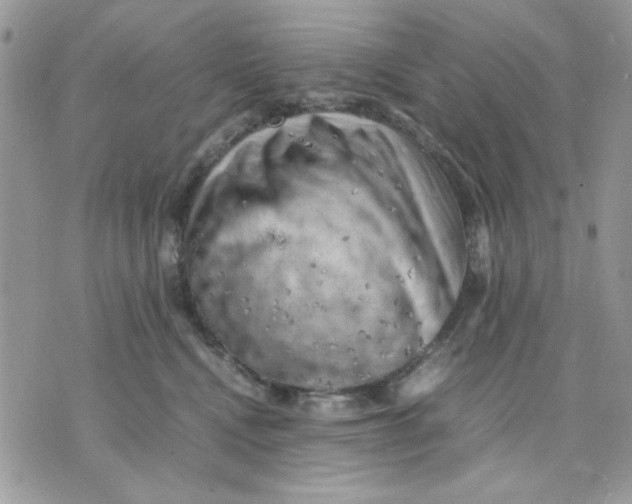 X0000075380472200609291555