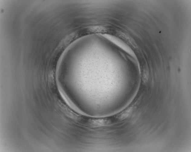 X0000075380473200609291555