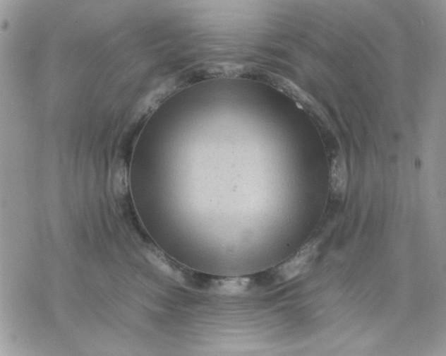 X0000075380474200609291555