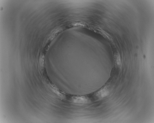 X0000075380475200609291555