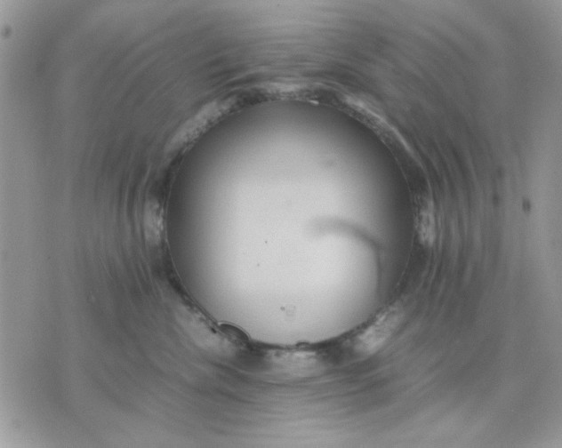 X0000075380476200609291555