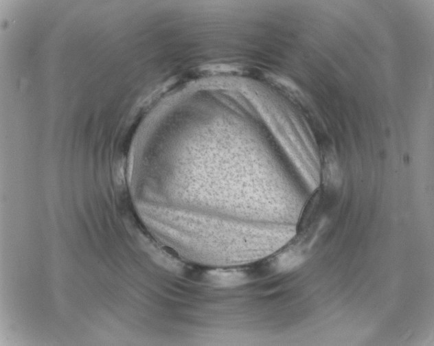 X0000075380477200609291555