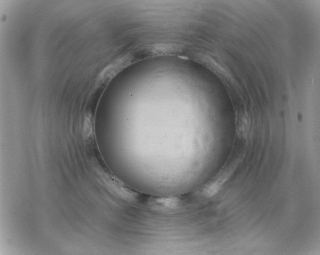 X0000075380478200609291555