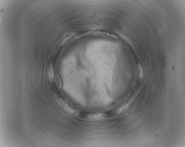 X0000075380479200609291555