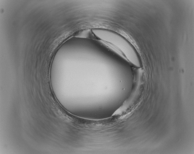 X0000075380481200609291555