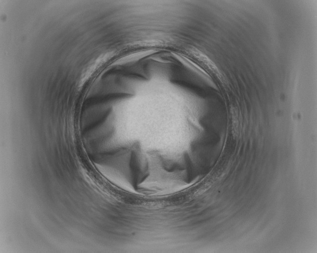 X0000075380482200609291555