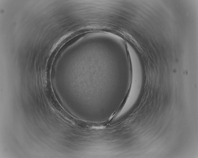 X0000075380484200609291555