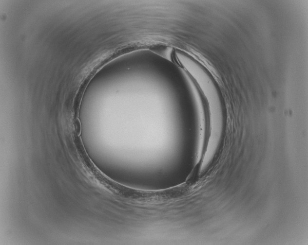 X0000075380485200609291555