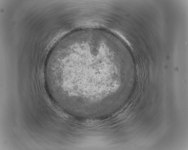 X0000075380487200609291555