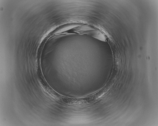 X0000075380488200609291555