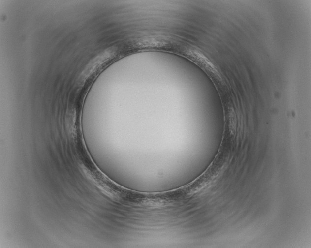 X0000075380490200609291554