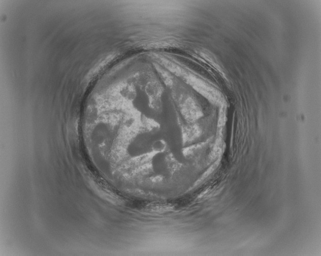 X0000075380491200609291554