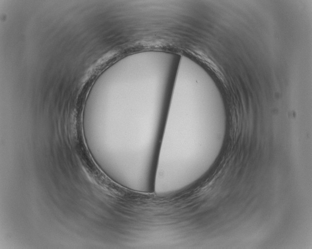 X0000075380492200609291554