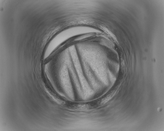 X0000075380493200609291554