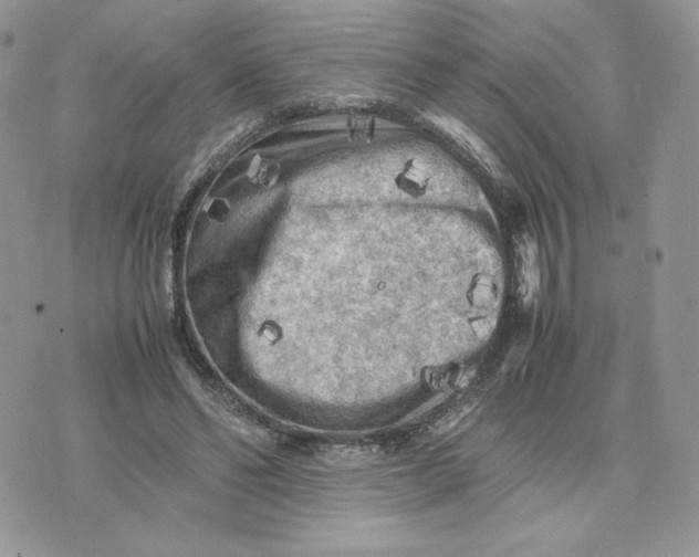 X0000075380494200609291554