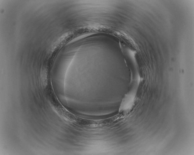 X0000075380496200609291554