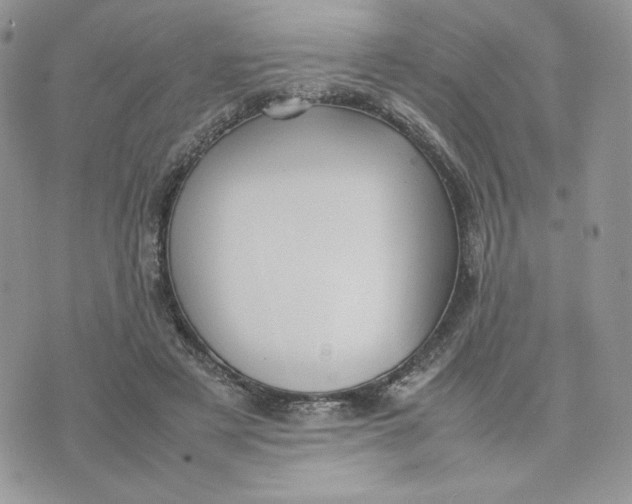 X0000075380497200609291554