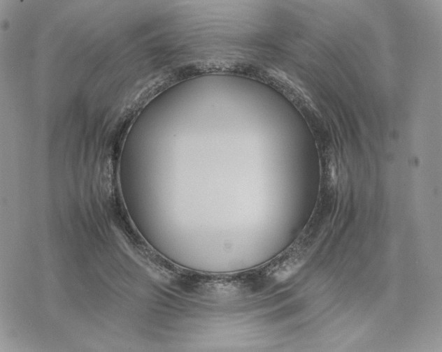 X0000075380498200609291554