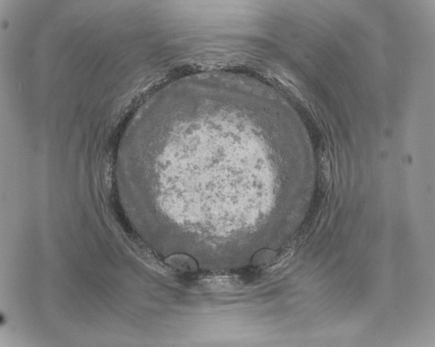 X0000075380499200609291554