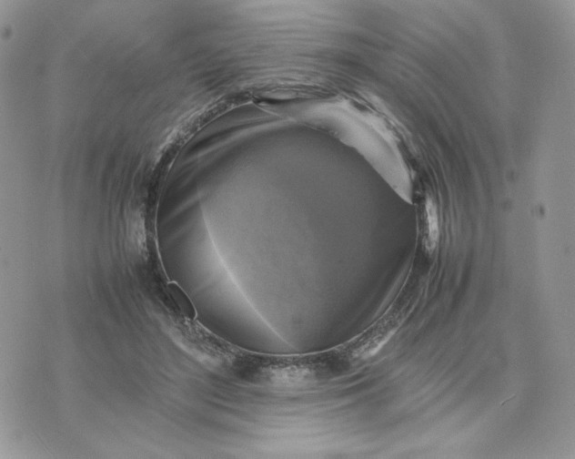 X0000075380500200609291554