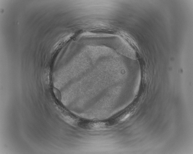 X0000075380501200609291554