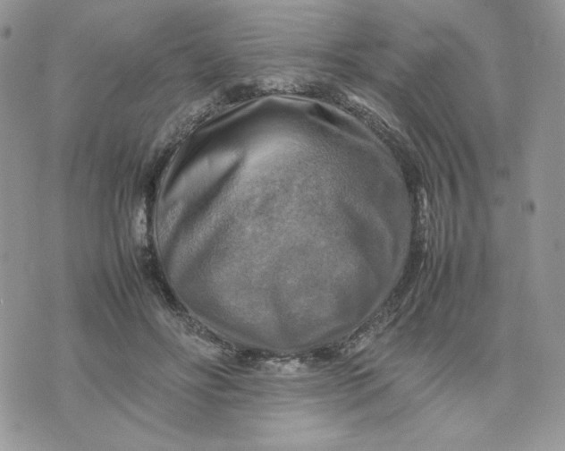 X0000075380502200609291554