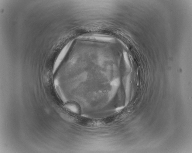 X0000075380503200609291554