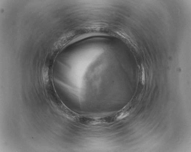 X0000075380504200609291554