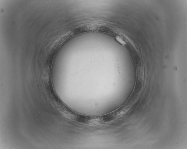 X0000075380505200609291554