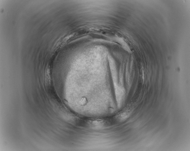 X0000075380506200609291554