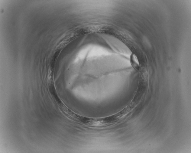 X0000075380507200609291554