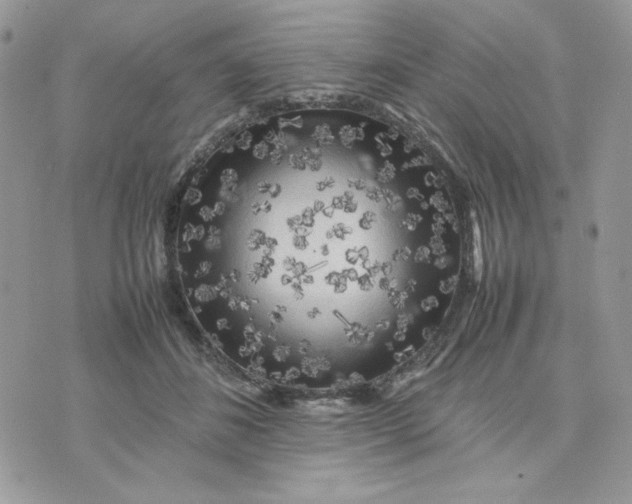 X0000075380508200609291554