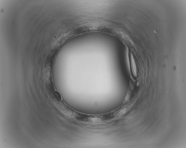 X0000075380509200609291554