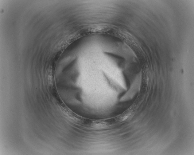 X0000075380510200609291554