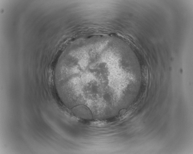 X0000075380511200609291554