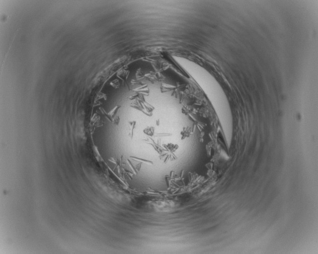 X0000075380512200609291554